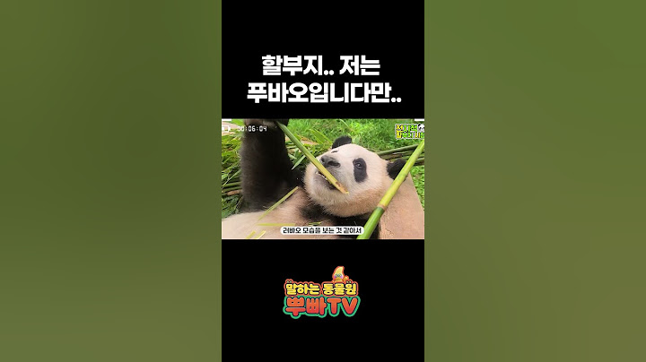 나는 푸바오입니다