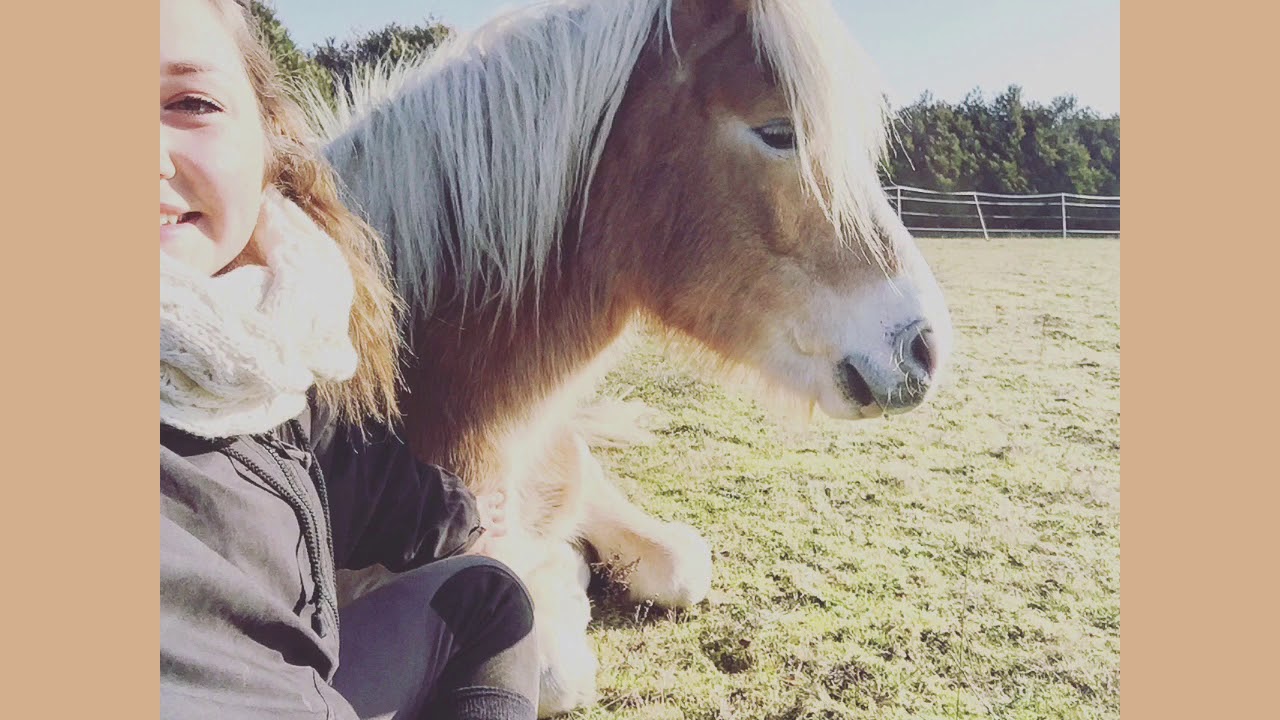 Couches toi ! YouTube