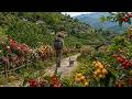 Chengdu’s Hidden Peach Blossom Land, Ripe Cherries and Loquats | 4K Walking Tour