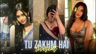 tu zakhm hai ( new song 2023 Reverb  and  Bass )  song