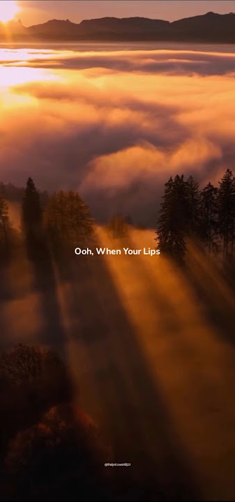 Señorita - Shawn Mendes & Camila cabello lyrics #aesthetic #englishsong #lyrics #@thelyricsworld521