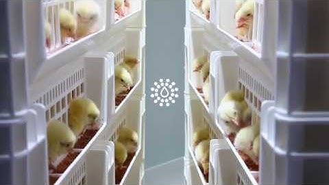 SmartStart™ Inspired by nature