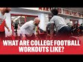 What A D1 College Football Workout Is Like #shorts  #cfb