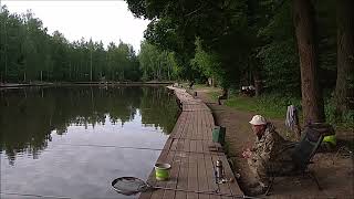 Утренний обзор с нижнего водоёма. Клёвое место, Лосиный остров.