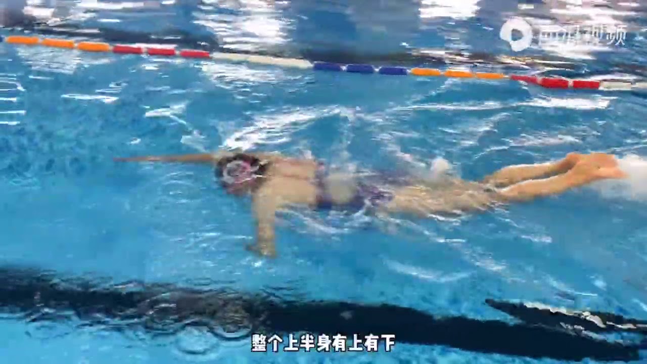 全网最细！世界冠军免费蝶泳分解教程，划手呼吸水陆结合，秒懂