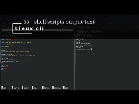 Linux CLI  55 🐧 shell scripts output text