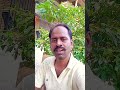 inko Bata dun main #song #subscribe #like #coment