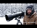 Sortie photo : Les oiseaux de la forêt boréale dans les Laurentides avec le Nikon 200-500mm f5.6