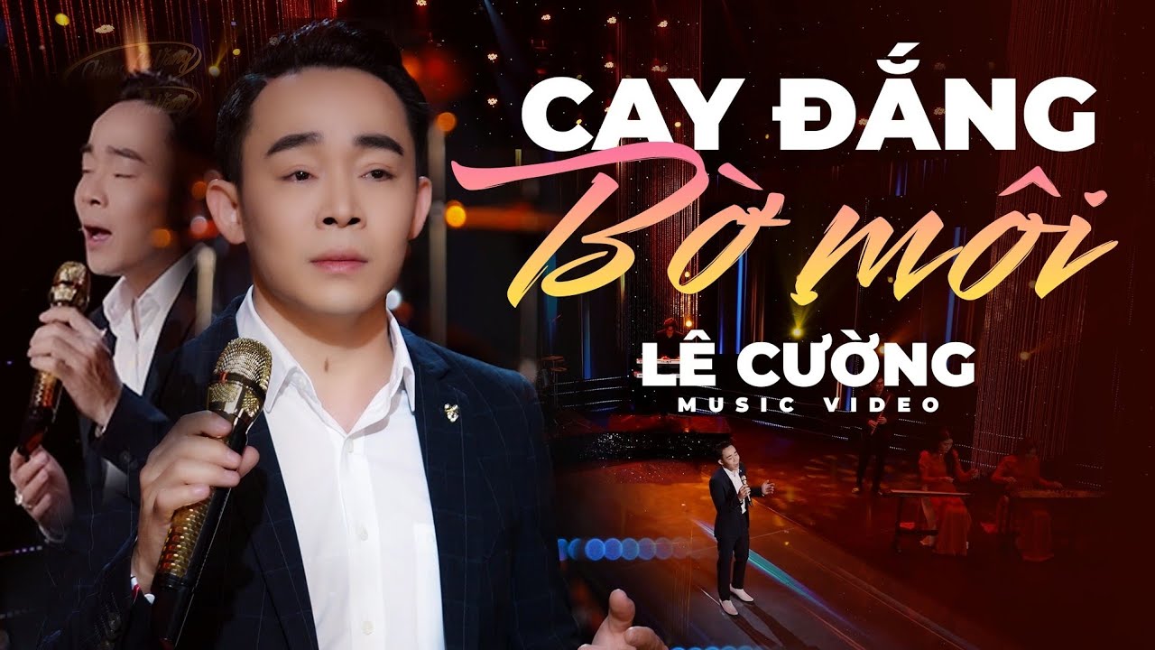 CAY ĐẮNG BỜ MÔI - LÊ CƯỜNG | BÀI HÁT BUỒN MAN MÁC - GIỌNG CA VÀNG NGHE MÀ XAO XUYẾN CON TIM