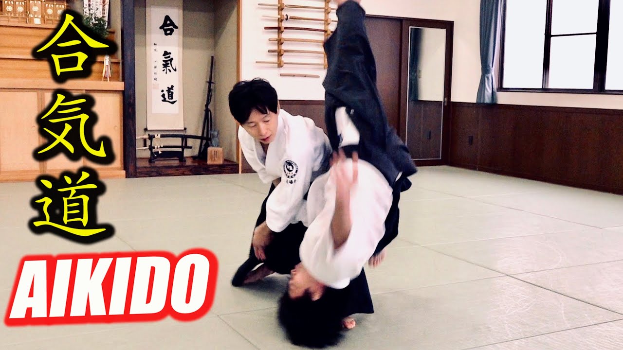 Секрет динамического айкидо 【Shirakawa Ryuji】