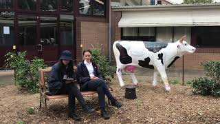 Elizabeth Macarthur High School - NSW