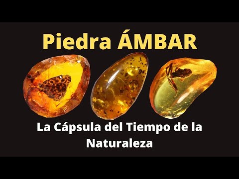 💎 Piedra Ámbar ¿Para qué sirve? Propiedades y Beneficios de la gema