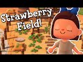 Cottage Core Strawberry Farm Build! | Animal Crossing New Horizons