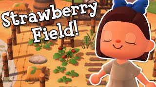 Cottage Core Strawberry Farm Build! | Animal Crossing New Horizons