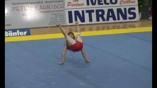 manna turn over (dislocation) to handstand
