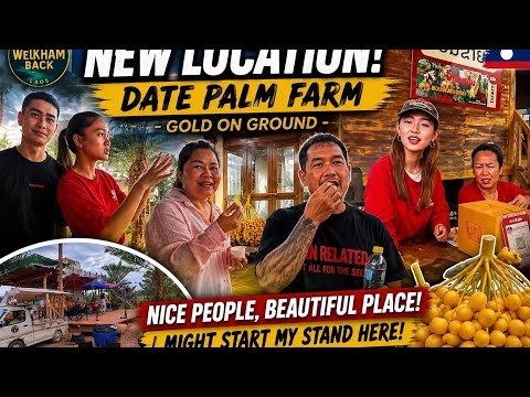 Exploring DATE PALM FARM – Gold on Ground | Could This Be My Next Business Location? 🌴