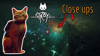 The Amazing close-up details of Stray (Camera Mods)