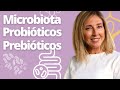 Microbiota intestinal y Cerebro - Probióticos | Prebióticos