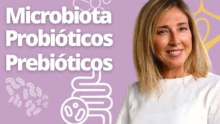 Microbiota intestinal y Cerebro - Probióticos | Prebióticos