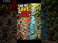 CAN WE SAVE THE DYING RIVER? #short #trending #savetheriver #explore #ytshorts
