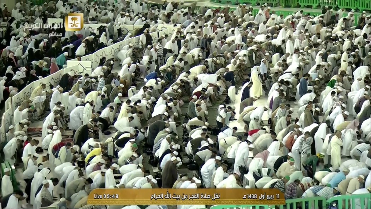 فجر السبت 11 ربيع الأول 1438 هـ للشيخ د. بندر بليلة  سورتي التكوير والإنفطار