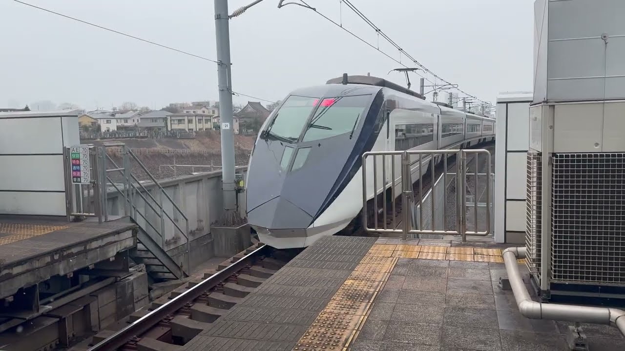 Trains in Tokyo - Yokohama, Akihabara and Nippori Stations