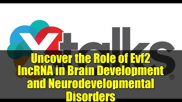 Uncover the Role of Evf2 lncRNA in Brain Development and Neurodevelopmental Disorders