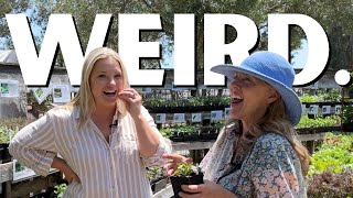 'Interesting' Plants You Might Not Have Heard Of! (Ok, some of them are just weird 😆)