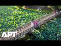 Royal Revival: White Lotus Season Returns To Hue’s Imperial City in Vietnam | APT