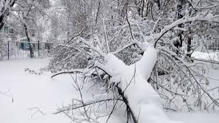 Разрушения после сильнейшего снегопада в Москве 4-5 февраля 2018.