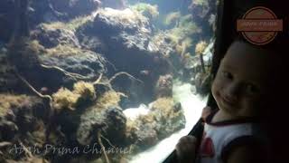 AQUASCAPE PASIR TERJUN 3 SUMBER | SANDFALL AQUASCAPE