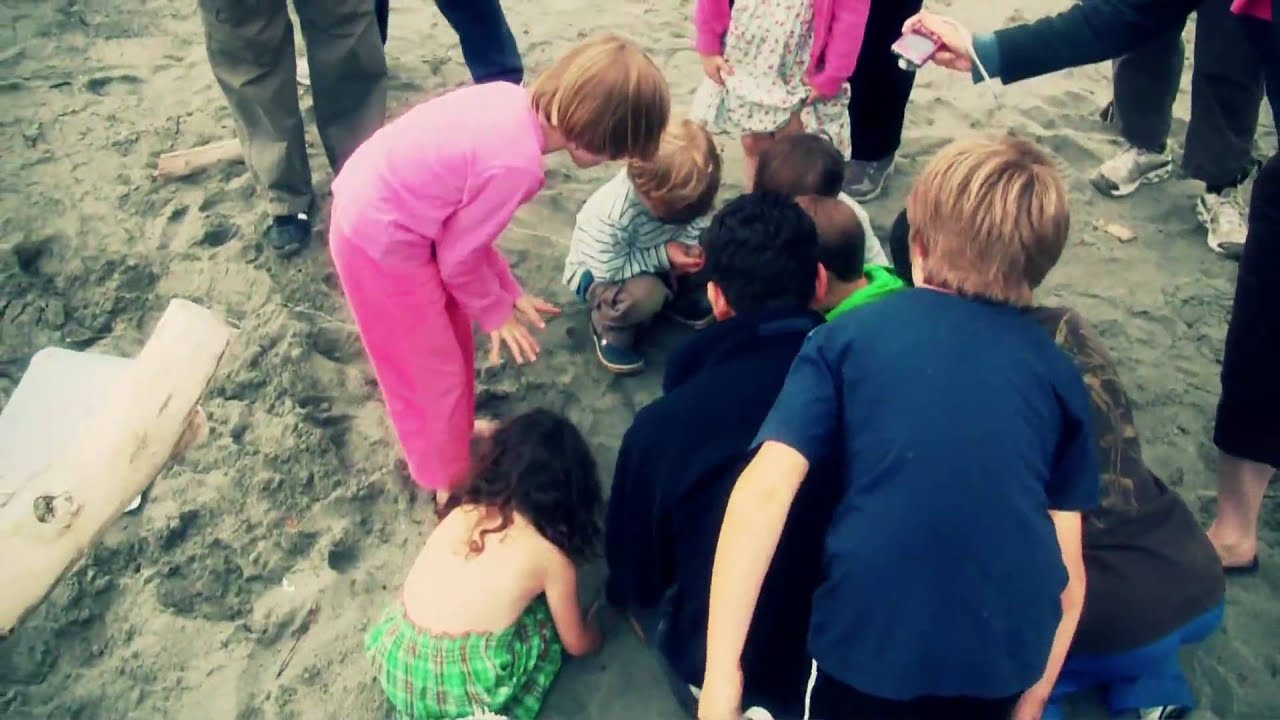 The Treasure of Port Townsend YouTube