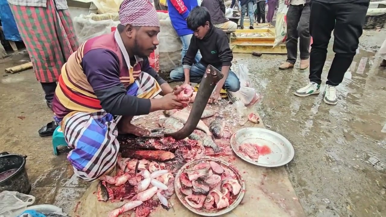 Big Fish Cutting Process | From Whole to Perfect Cuts