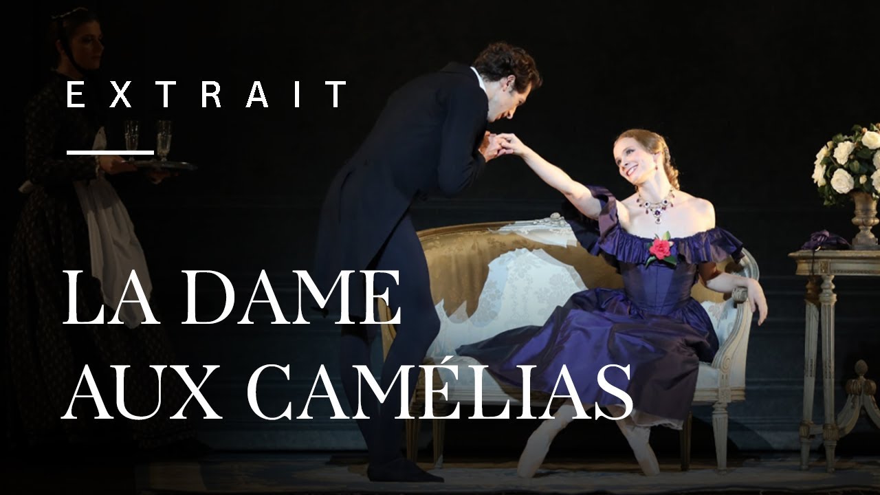 La Dame Aux Camélias Nombre De Pages Histoire De La Dame Aux Camélias - Aperçu Historique