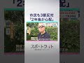 消費減税に反対論噴出、財源と公約の壁 独自アンケートで自民党内”ホンネ”を徹底検証【スポットライト】調査報道プロジェクト #shorts