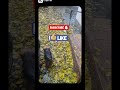 27.10.2025. (12:12) Ого! Знову - Санта, не захотіла, виходити, у дощ! Чому????