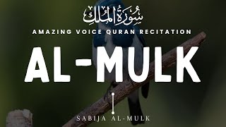 Peaceful Recitation of Surah Mulk (The Kingdom) سورة الملك