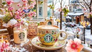 Starbucks Bossa Coffeeの配信のサムネイル画像