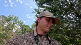 Alabama Dove hunting