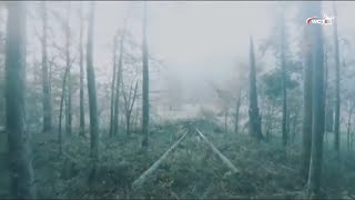 New Bern Battlefield Park in the Fog | Moody & Haunting Landscape
