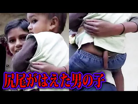 この謎のしっぽの正体がヤバい 