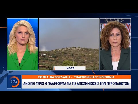 Ανοίγει αύριο η πλατφόρμα για τις αποζημιώσεις των πυρόπληκτων | Μεσημεριανό Δελτίο Ειδήσεων 17/8/21