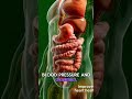 what happened when eat garlic? #health #digestiveprocess #anatomy