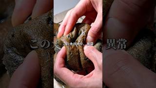 【超カリもち】黒ごま米粉ベーグルの作り方 #shorts