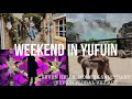 WEEKEND IN YUFUIN &amp; BEPPU | teamlab, monkeys, 7 hells, and floral village!