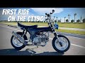First Ride on the Honda CT190 (CT70 / Dax)