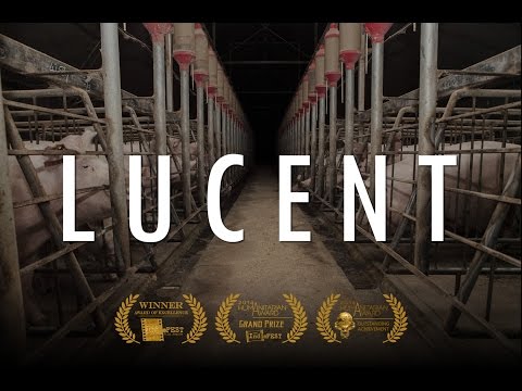 Lucent (2014) - Full Documentary