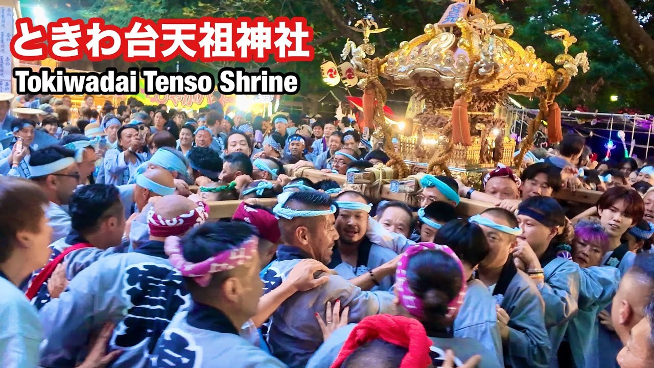【ときわ台天祖神社祭礼】2025 町会連合神輿の宮入り Tokiwadai Tenso Shrine Festival Mikoshi entry into the shrine
