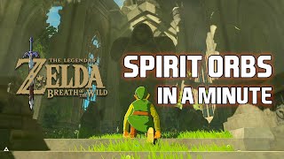 The Legend of Zelda: Breath of the Wild - Spirit Orbs Briefly!