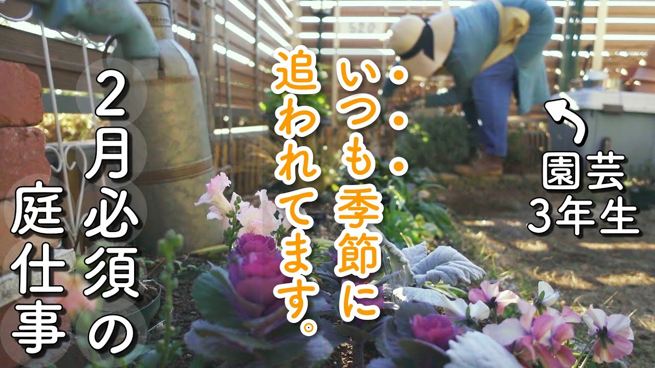 やらないと咲かない⁈いつもギリギリ！素敵庭を目指す園芸３年生の実態｜バラと紫陽花の植え替え｜手作り防虫スプレー｜小さな庭のガーデニング